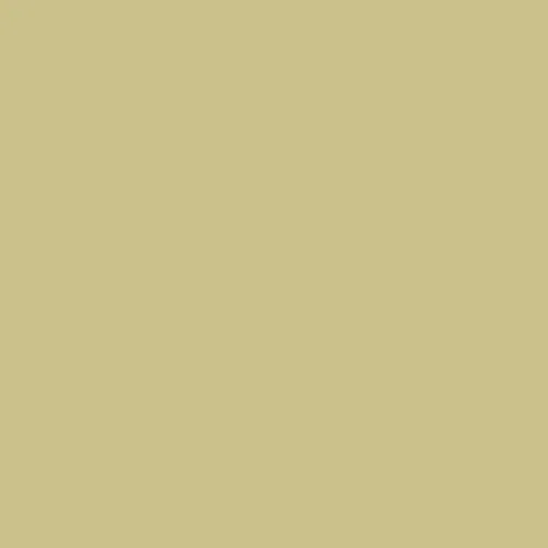 RAL 1000 Green Beige Aerosol Spray Paint 400ml