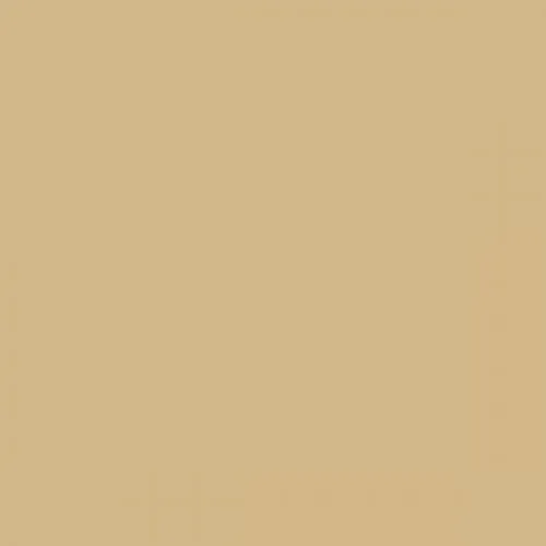 RAL 1001 Beige Aerosol Spray Paint 400ml
