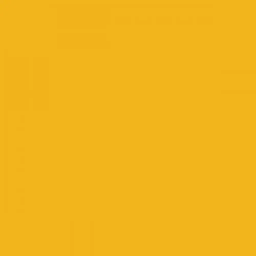 RAL 1003 Signal Yellow Aerosol Spray Paint 400ml