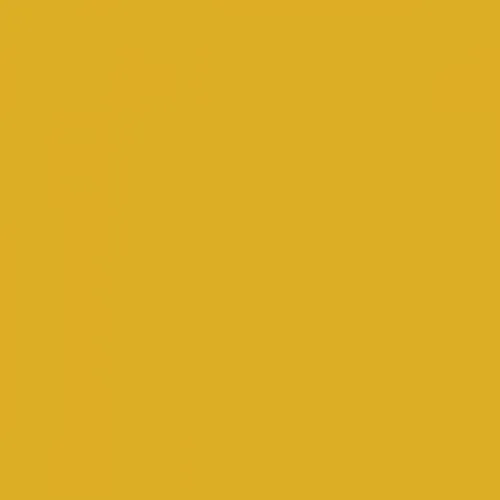 RAL 1004 Golden Yellow Aerosol Spray Paint 400ml