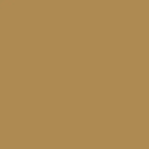 RAL 1011 Brown Beige Aerosol Spray Paint 400ml