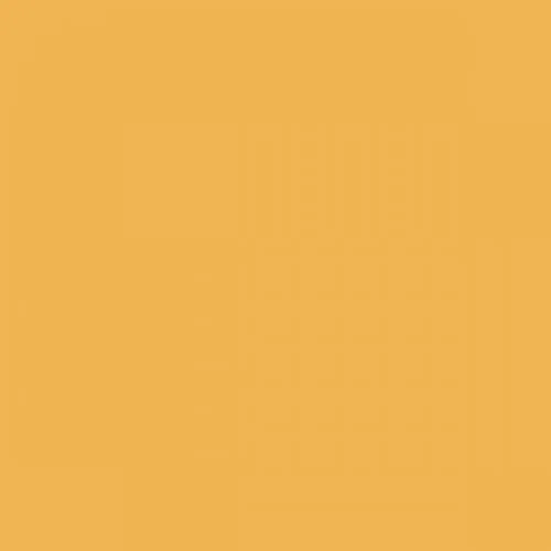RAL 1017 Saffron Yellow Aerosol Spray Paint 400ml