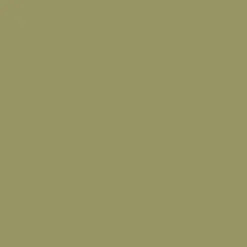 RAL 1020 Olive Yellow Aerosol Spray Paint 400ml