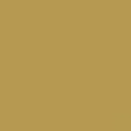 RAL 1024 Ochre Yellow Aerosol Spray Paint 400ml
