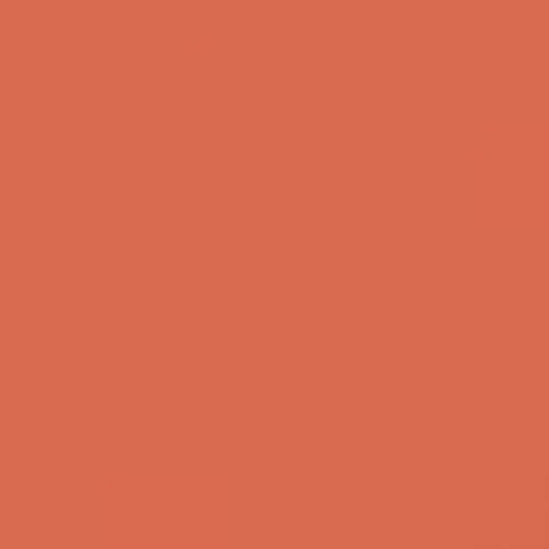 RAL 2012 Salmon Orange Aerosol Spray Paint 400ml