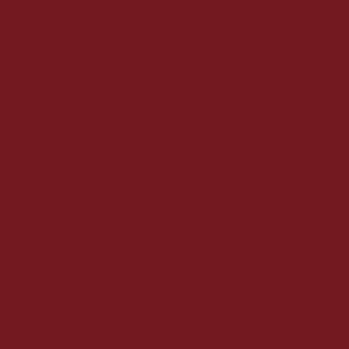 RAL 3004 Purple Red Aerosol Spray Paint 400ml