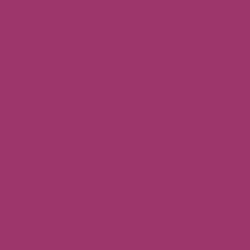 RAL 4006 Traffic Purple Aerosol Spray Paint 400ml