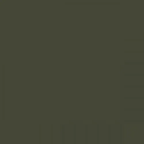 RAL 6003 Olive Green Aerosol Spray Paint 400ml