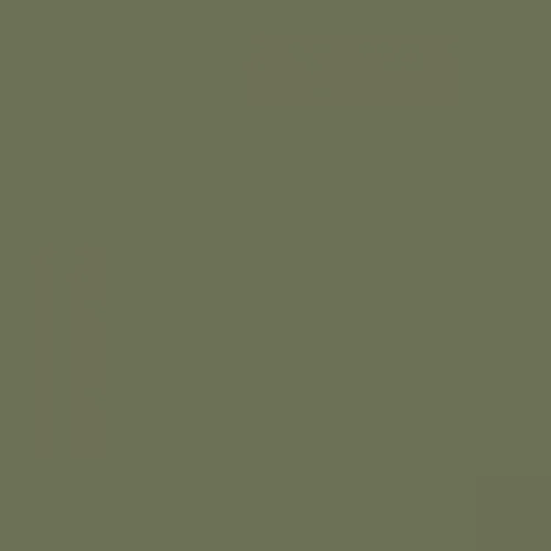 RAL 6013 Reed Green Aerosol Spray Paint 400ml