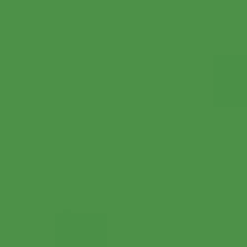 RAL 6017 May Green Aerosol Spray Paint 400ml
