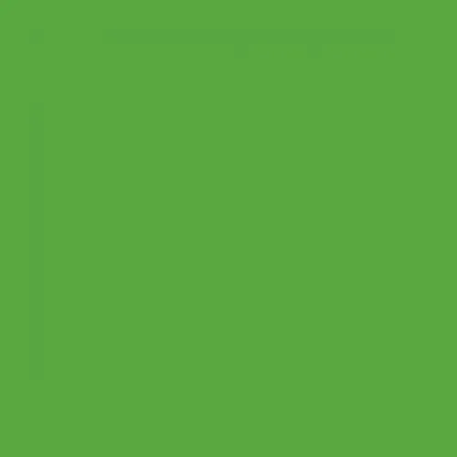 RAL 6018 Yellow Green Aerosol Spray Paint 400ml