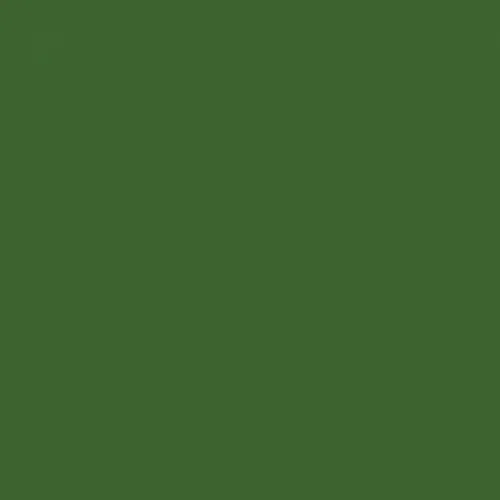 RAL 6025 Fern Green Aerosol Spray Paint 400ml