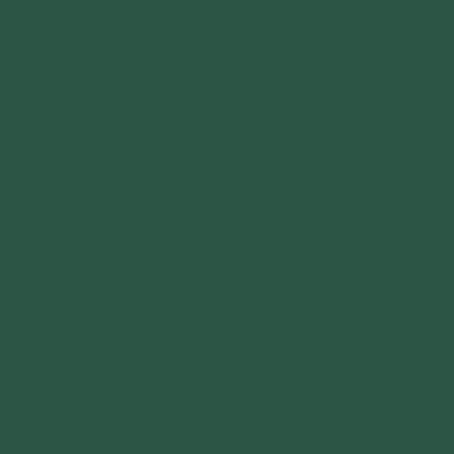 RAL 6028 Pine Green Aerosol Spray Paint 400ml