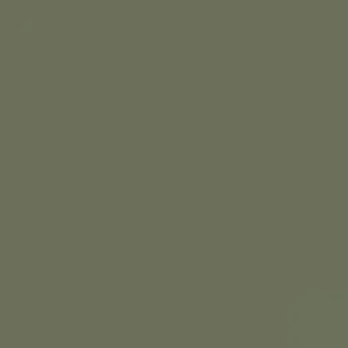 RAL 7003 Moss Grey Aerosol Spray Paint 400ml