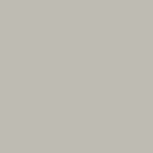 RAL 7044 Silk Grey Aerosol Spray Paint 400ml