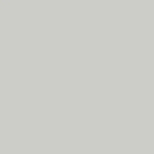 RAL 7047 Telegrey 4 Aerosol Spray Paint 400ml