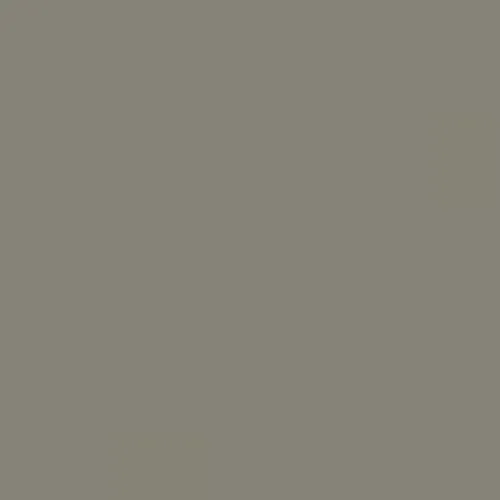 RAL 7048 Pearl Mouse Grey Aerosol Spray Paint 400ml