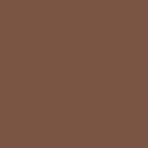 RAL 8002 Signal Brown Aerosol Spray Paint 400ml