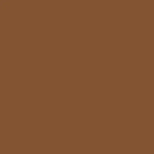 RAL 8003 Clay Brown Aerosol Spray Paint 400ml