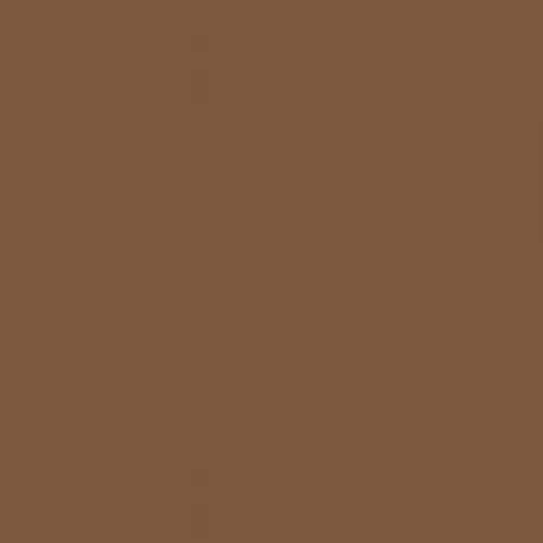 RAL 8024 Beige Brown Aerosol Spray Paint 400ml