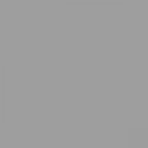 RAL 9022 Pearl Light Grey Aerosol Spray Paint 400ml